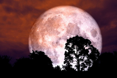 Večeras obratite pažnju: Izlazak najmoćnijeg punog Meseca u boji jagode ovim znakovima menja život iz korena